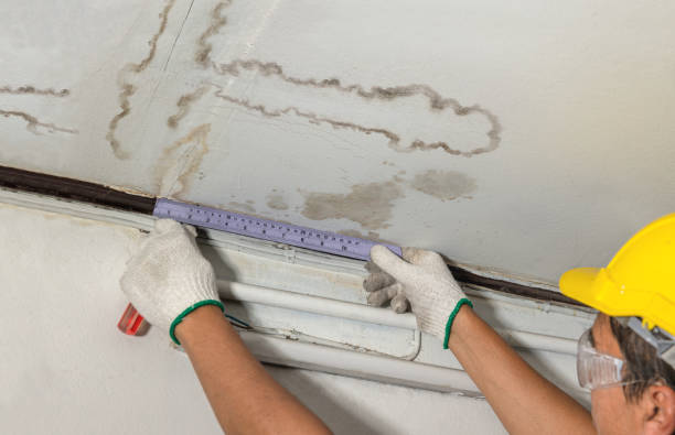 Reliable Burst Pipe Cleanup contractor in Wakefield, VA by Water Damage Irwin